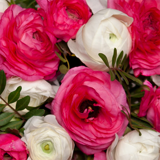 Bouquet de renoncules roses et blanches Livraison de fleurs élégantes 3