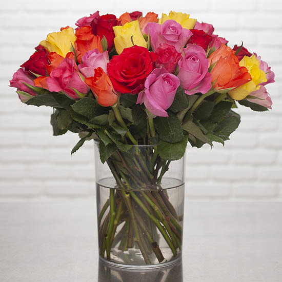30 Harlequin roses + 30 Daffodils 3