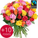 Harlequin Bouquet of Fairtrade Roses