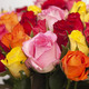 Bouquet de roses Arlequin 2