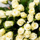 Pure White Rose Bouquet 