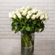 Bouquet de roses Blanc pur  3