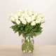 Roses blanches 2