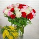 Bouquet de roses d’Éthiopie mimosa Roses responsables et fleurs du Sud