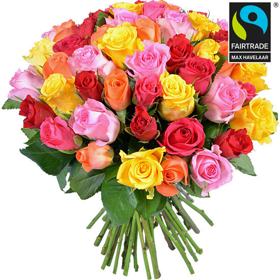 Bouquet de roses Arlequin + 30 jonquilles