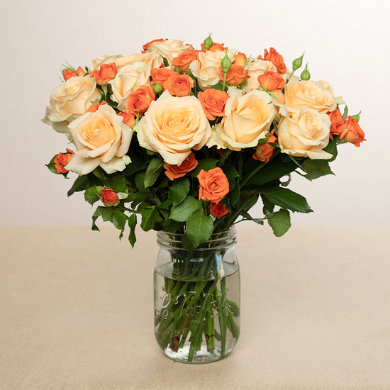 Bouquet de roses pêche et orange Peach Avalanche roses branchues 2