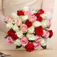 Marvellous roses 
