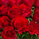 Bouquet de roses Rouge Baiser 2