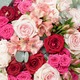 Bouquet de roses rouges et roses avec alstroemeria et eucalyptus Livraison fleurs en France 3