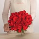 Roses rouges