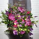 Autumn Softness Bouquet Chrysanthemums Clematis Aquarelle