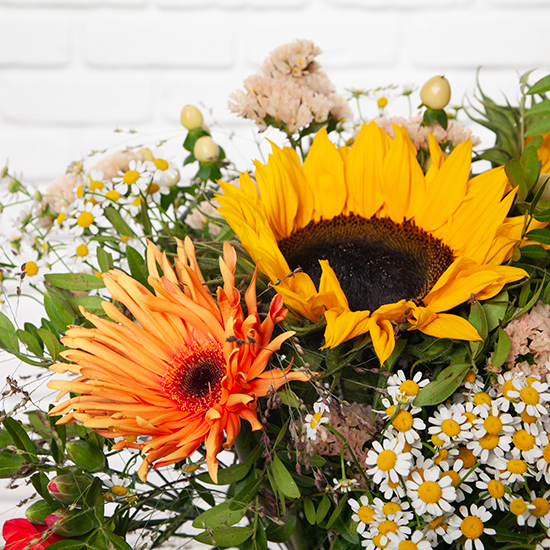 'Leo' bouquet and its astral book 3