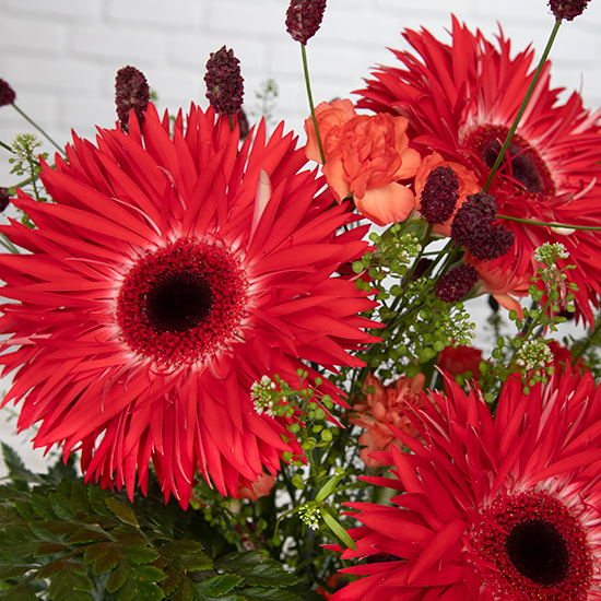 Bouquet orange champêtre Fête des Grands-Mères Gerbera, Greenbell, fleurs de saison 3