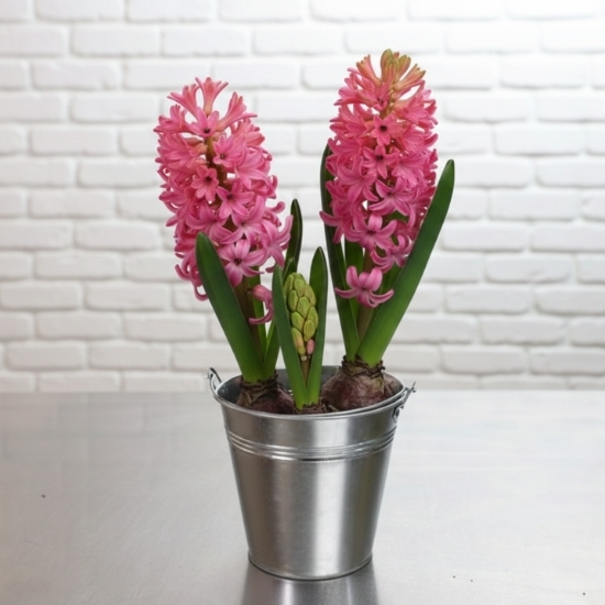 Bouquet orange champêtre Fête des Grands-Mères Gerbera, Greenbell, fleurs de saison 4
