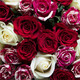 A Passion for Roses bouquet 2
