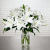 Lys blancs parfumés