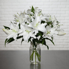 Lys blancs parfumés
