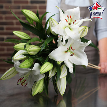 Perfumed white lilies