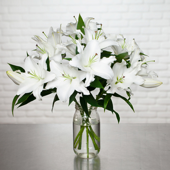 Lys blancs parfumés