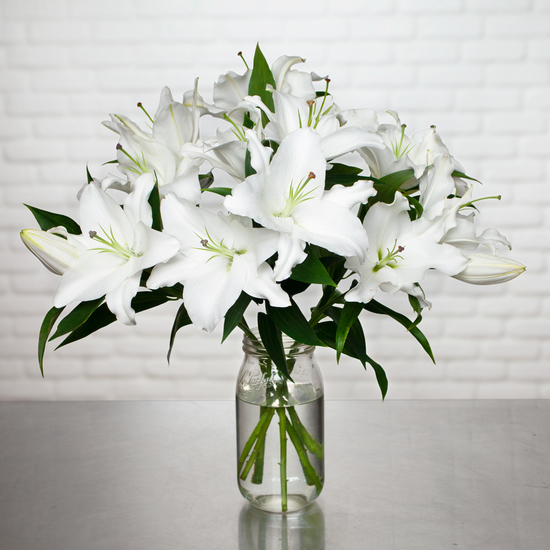 Lys blancs parfumés