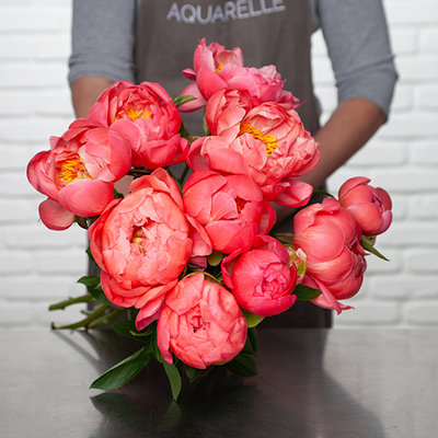 Brassée de Pivoines 'Coral Charm'