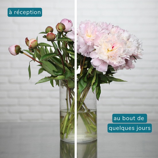 Brassée Tendresse de Pivoines 3