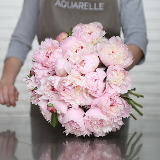 Tender Peony Bunch