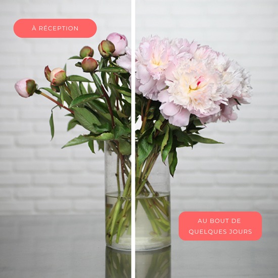 Brassée Tendresse de Pivoines 3