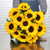 Brassée de Tournesols