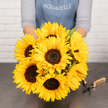 Brassée de Tournesols