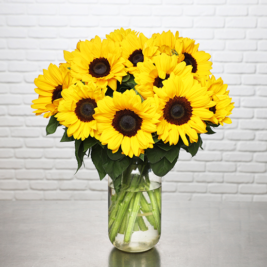 Brassée de Tournesols 2
