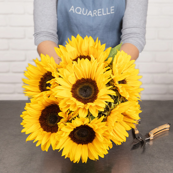 Brassée de Tournesols 2