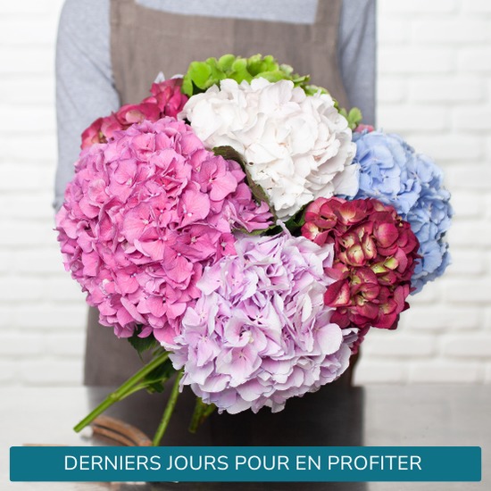 Hydrangea bouquet