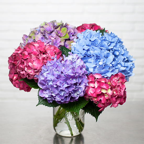 Brassée d'hortensias 2