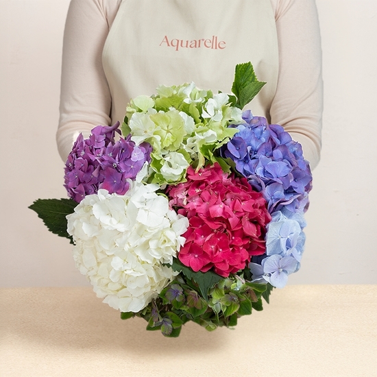 Hydrangea bouquet