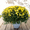 Livraison sur tombe par un fleuriste du réseau 123fleurs 3