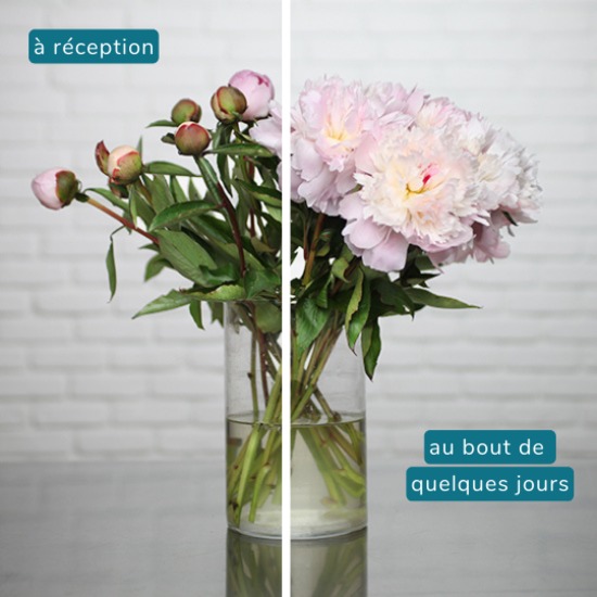 Coffret d’Exception : Pivoines & Bracelet  2