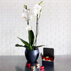 Orchidée & Coeurs