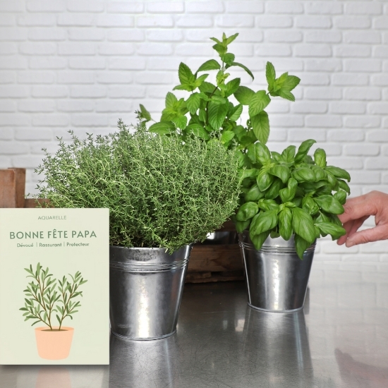 Le Jardin de Papa