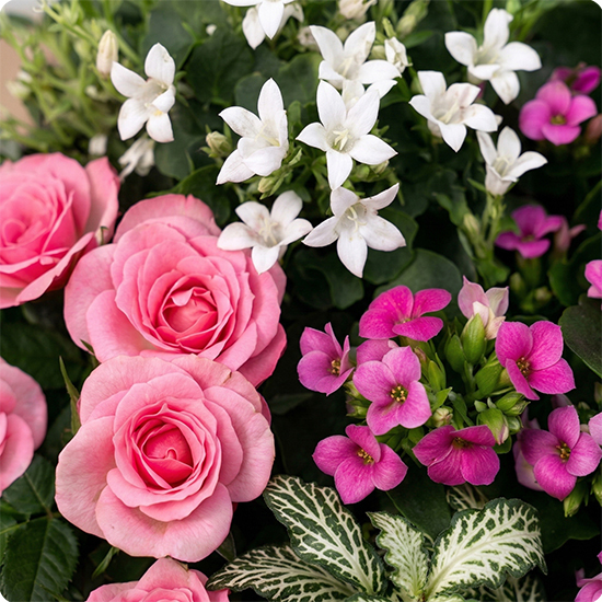 Composition Mourning Heart flowers 2
