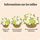 Composition Deuil Lumière 4