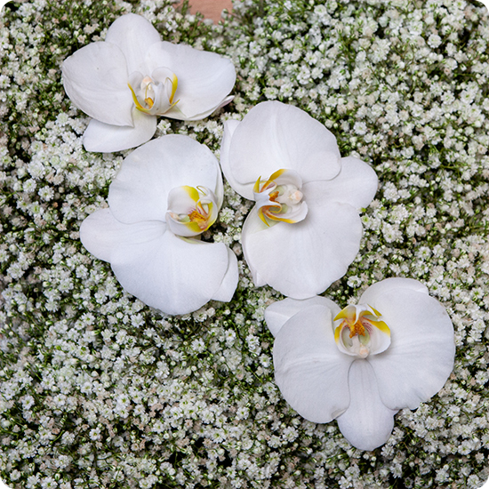 Funeral, memorial service, religious tribute, remembrance. A simple and elegant floral cross to express eternal love. 2