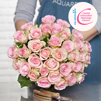 Douces roses