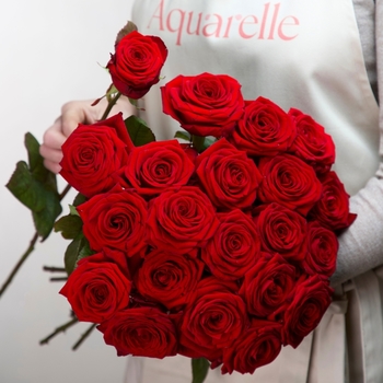 Tall Red Roses