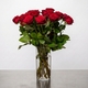 Tall Red Roses 3