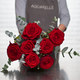 Grandes roses avec feuillage