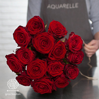 Fleurs rouges en livraison| Aquarelle