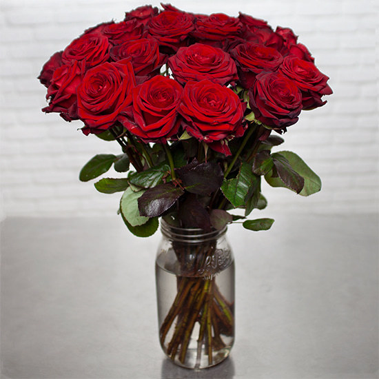 Tall Red Roses 2
