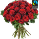 Large headed Monte Carlo Red Roses