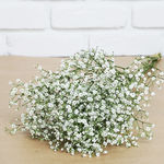 3 tiges de gypsophile